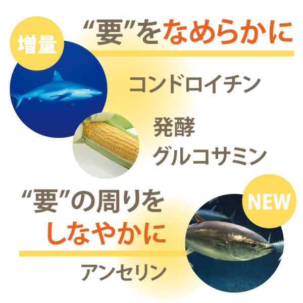 “要”をなめらか&しなやかに