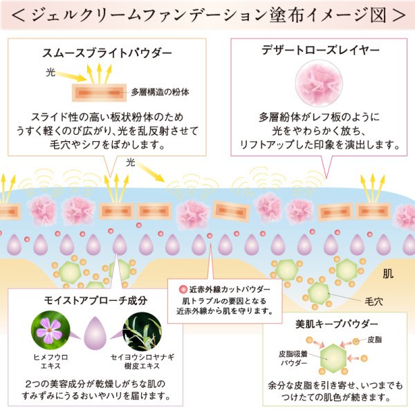 通常購入】WIZ D ジェルクリームファンデーション(W1ライトオークル