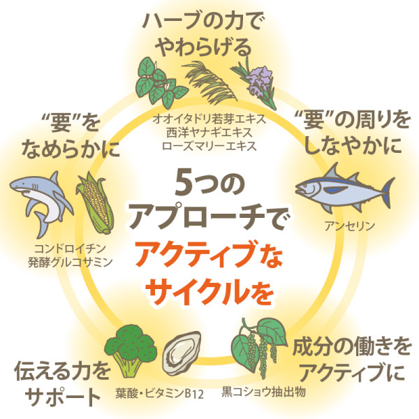 ライトステップ アクティブ5つのポイント