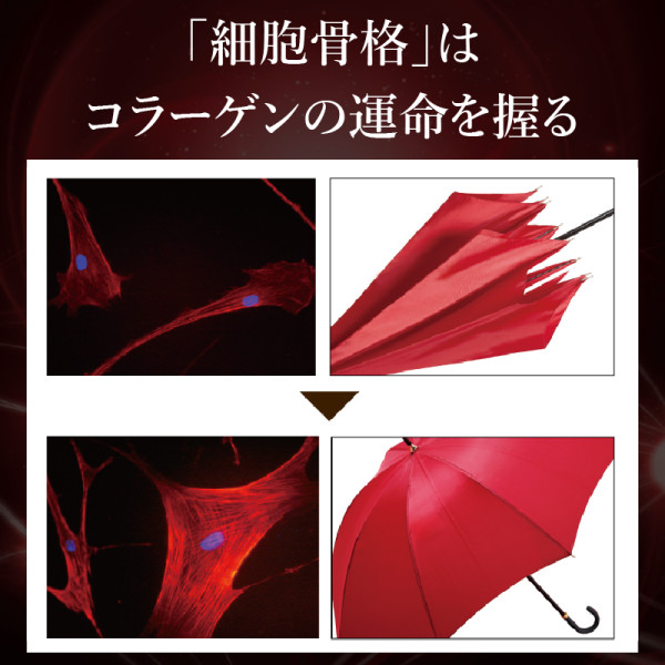 定期購入】オートリフター | ナガセビューティケァ公式ショップ