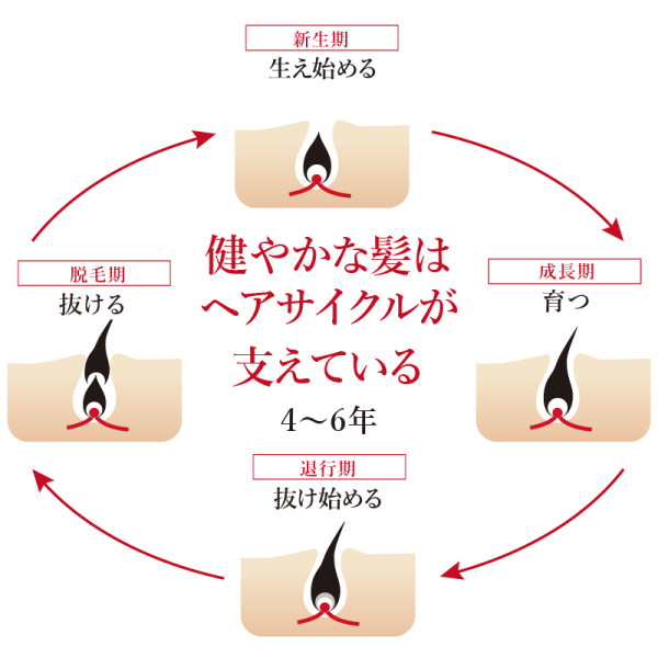 通常購入】ケアシス タフティープ〈薬用育毛剤〉 | ナガセビューティ